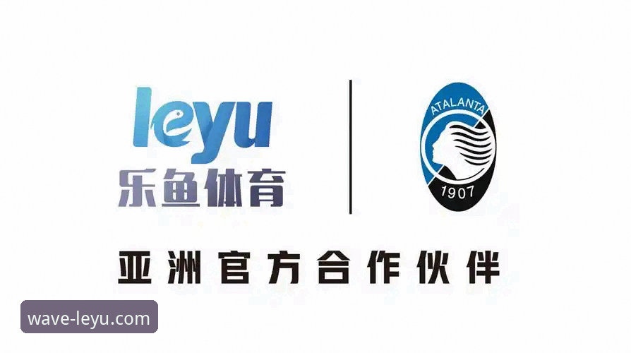 寻找乐鱼体育平台官方入口的3个关键步骤与leyu乐鱼官网更新指南